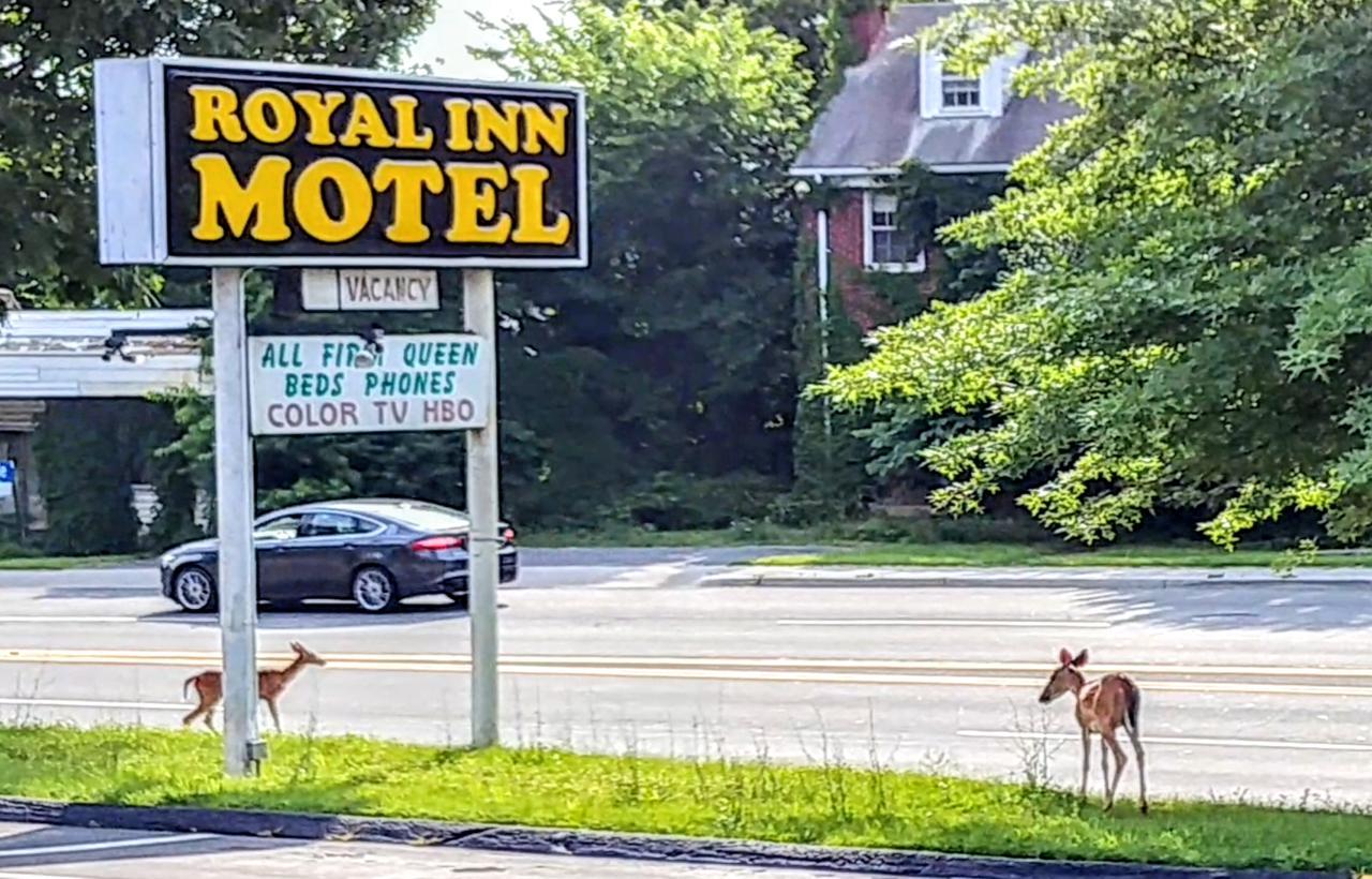 Royal Inn Motel Front Royal Bagian luar foto